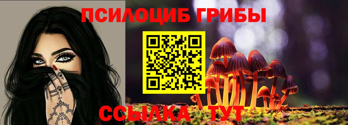 Томск  Псилоцибиновые грибы ЛСД  Псилоцибиновые грибы Cubensis  Вход с VPN 